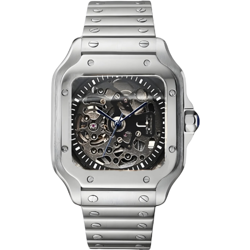 SANTOS MOD SKELETON SPECIAL EDITION